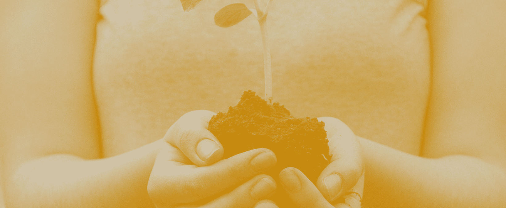 Sustaining a Lifetime of Ministry Image