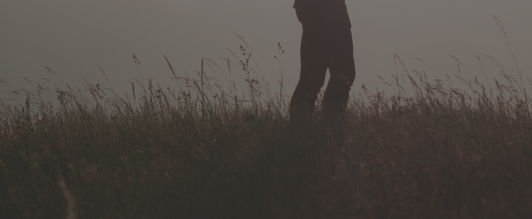 Donate to Open the Bible Today