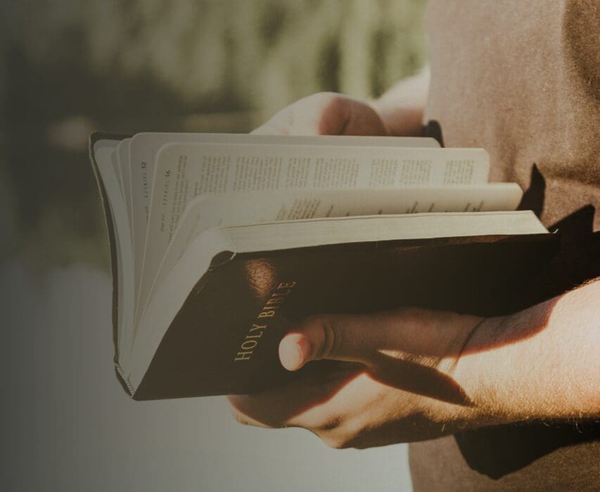 IMPACT | Year End 2024