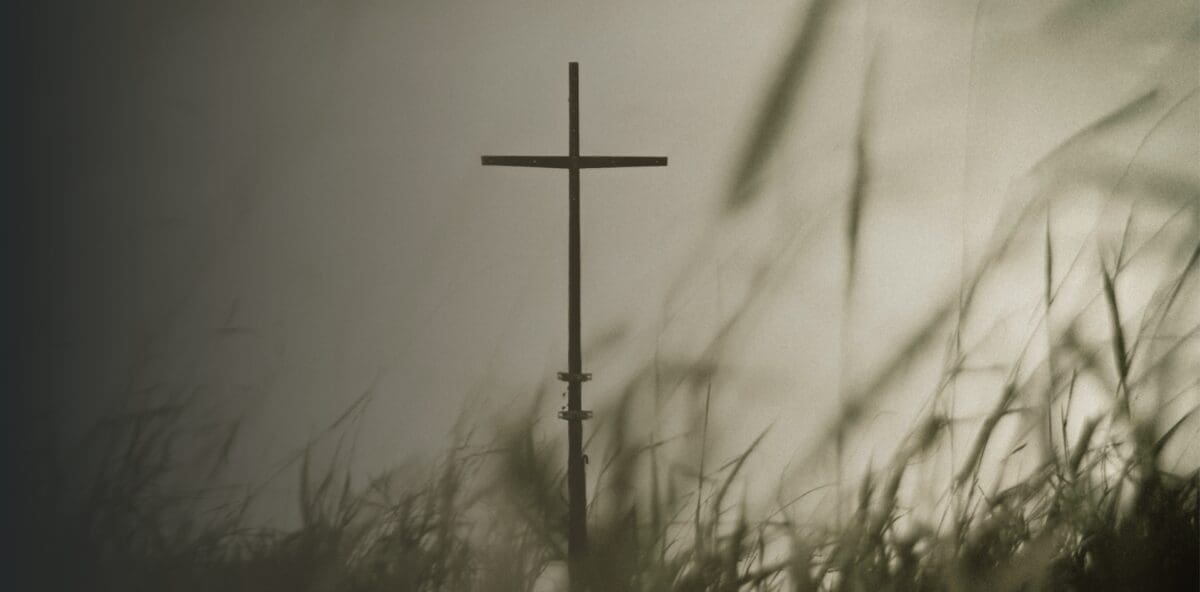 IMPACT | Year End 2024