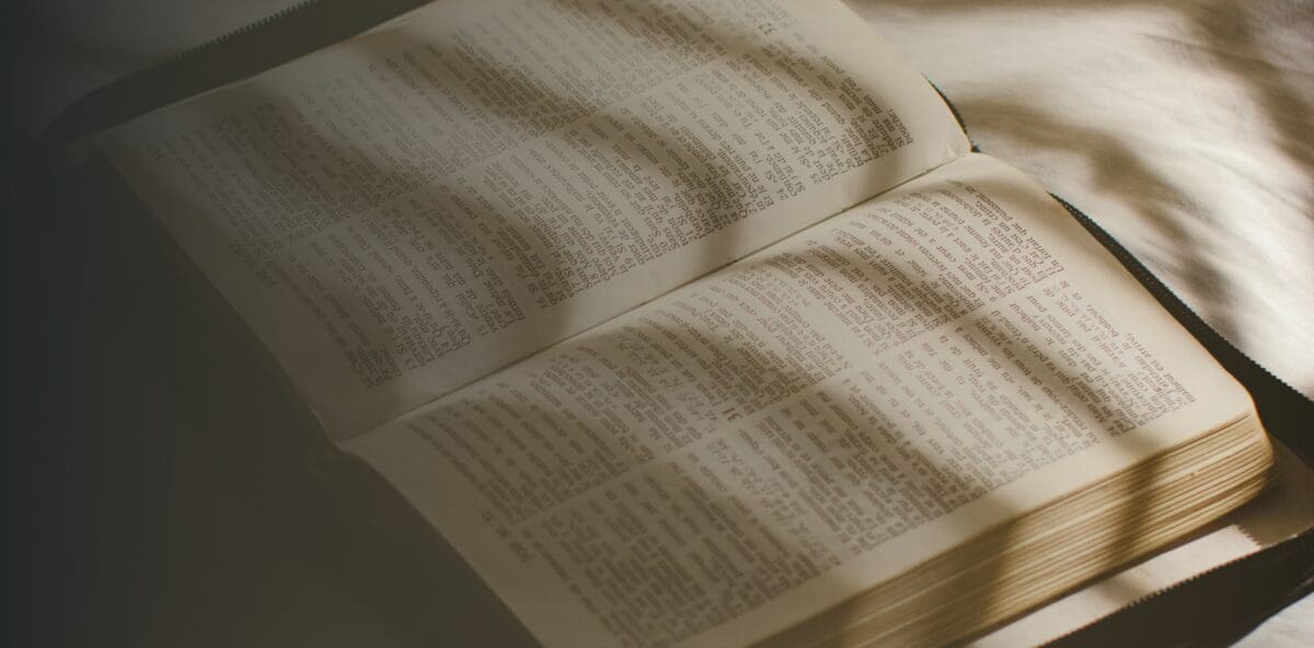 IMPACT | Year End 2024