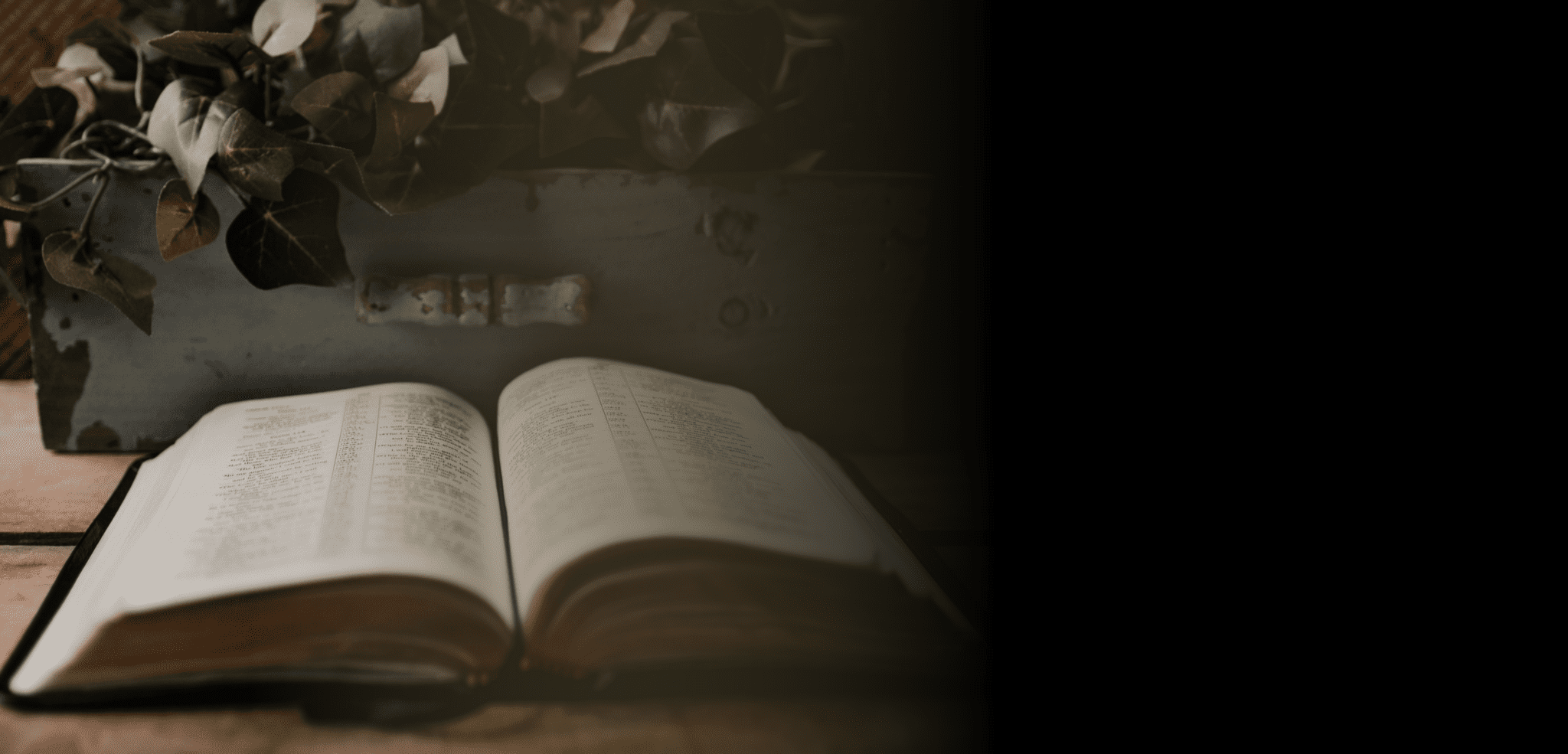 IMPACT | Year End 2024