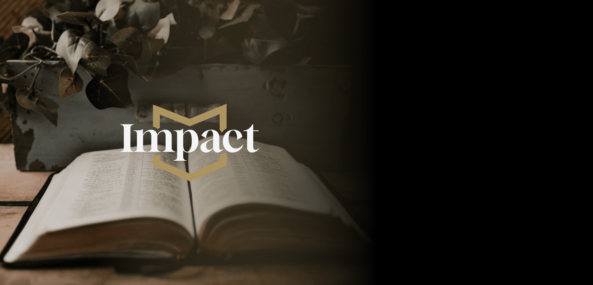 IMPACT | Year End 2024