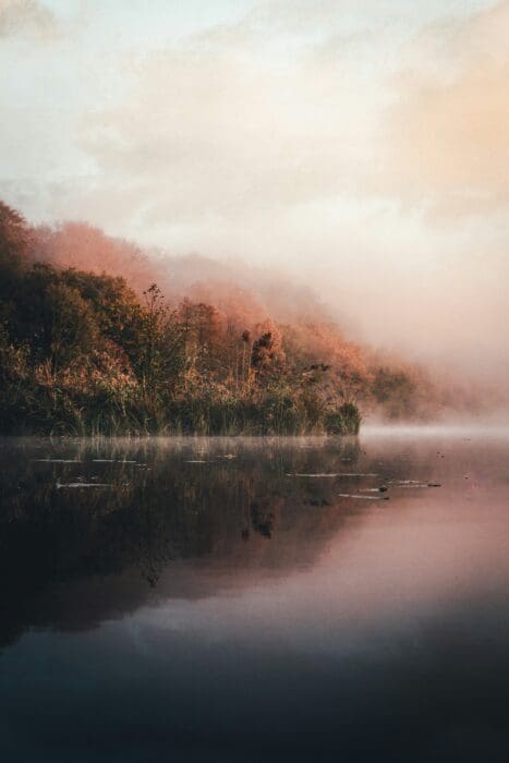 Nature Fog Trees Lake