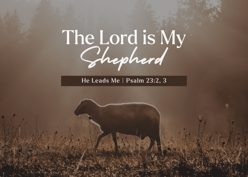 Psalm 23 Sheep Shepherd