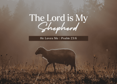 Psalm 23 Study
