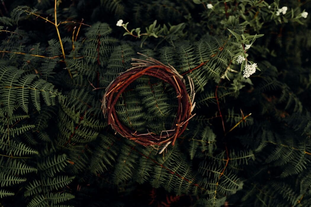 Thorn crown