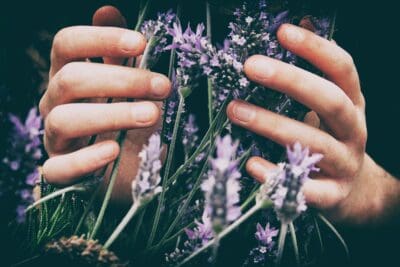 Touching Flowers Hands Lavender