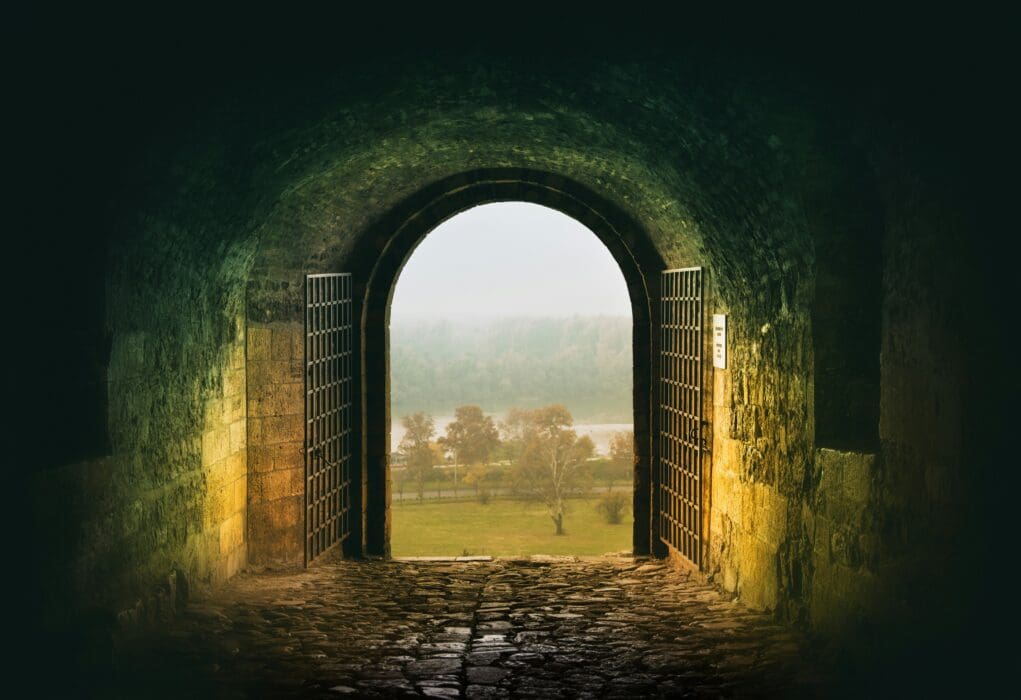 Entrance Door Landscape