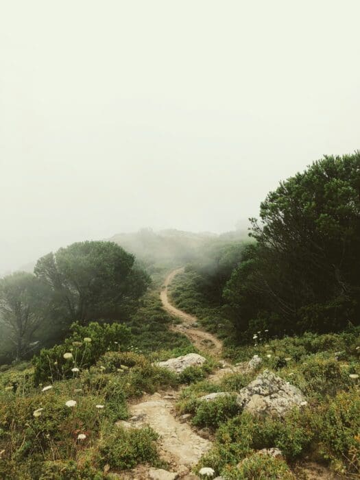 Nature Trail