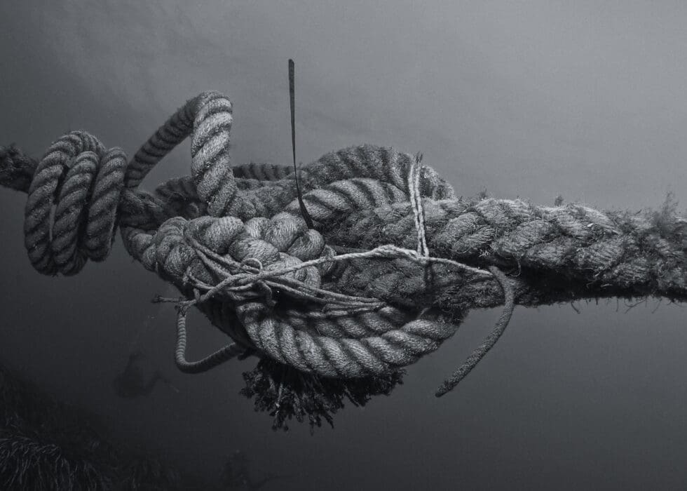 Rope Tangled Intertwined