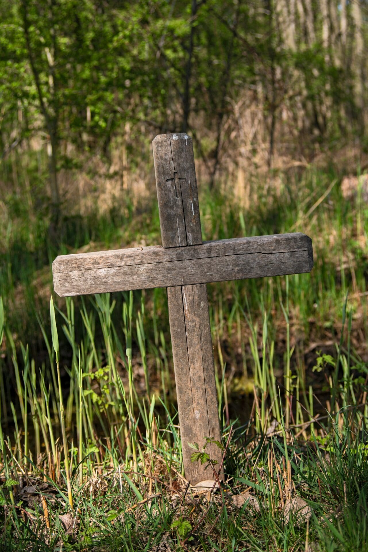 The Experience Of All Those Who Share In The Life Of Jesus Open The Bible