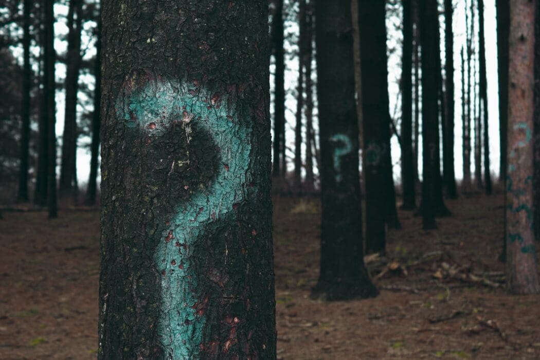 Question Mark Forest