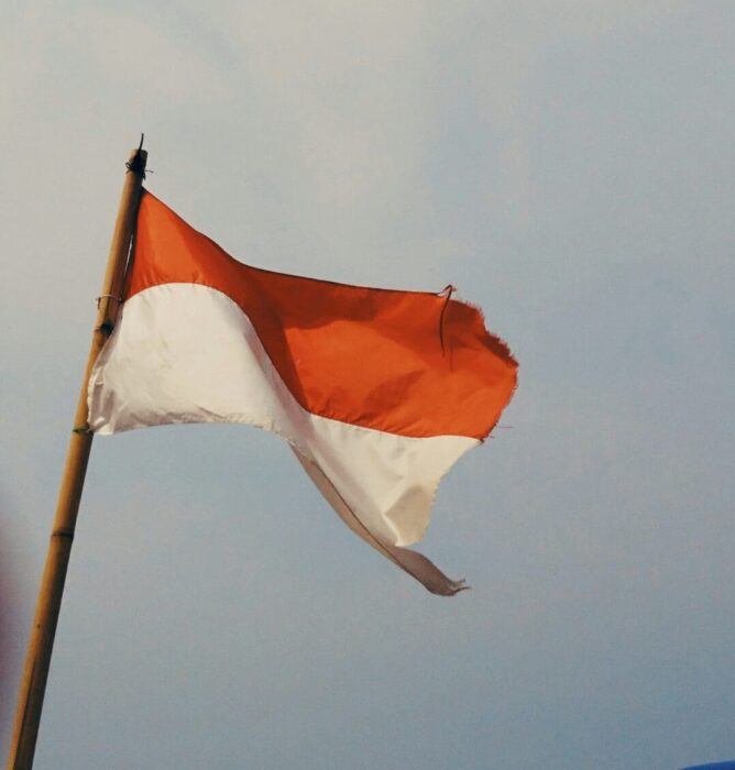 Split Flag Two Colored Flag