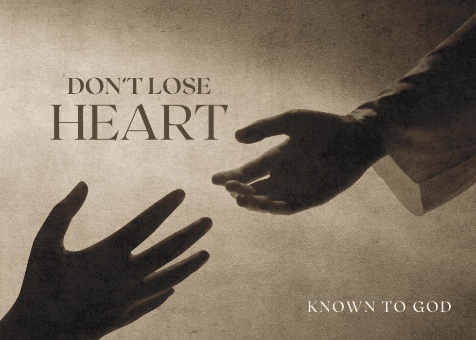 Hands Touching Light Darkness