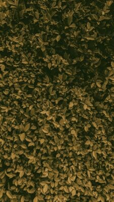 Greenery Green Floral