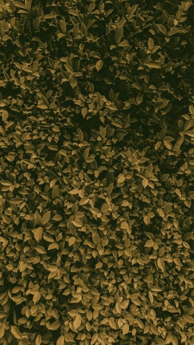 Greenery Green Floral