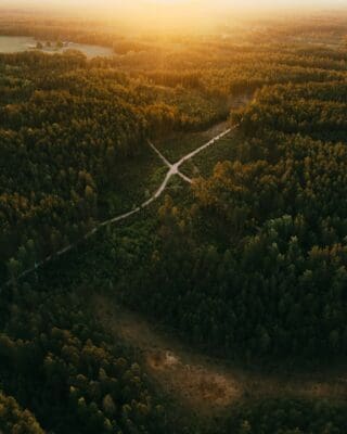 Roads Journey Path Aerial View