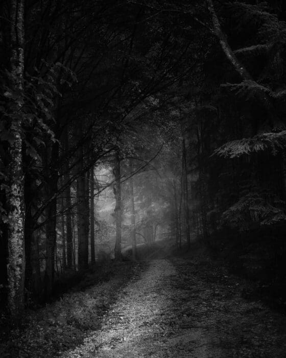 Darkness Path Dark Night