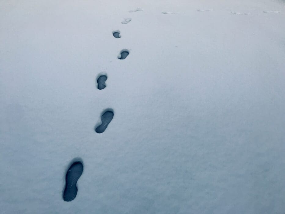 Snow shoe prints tracks