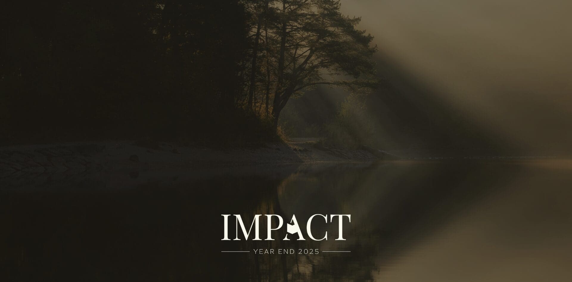 Trees Darkness Light Water