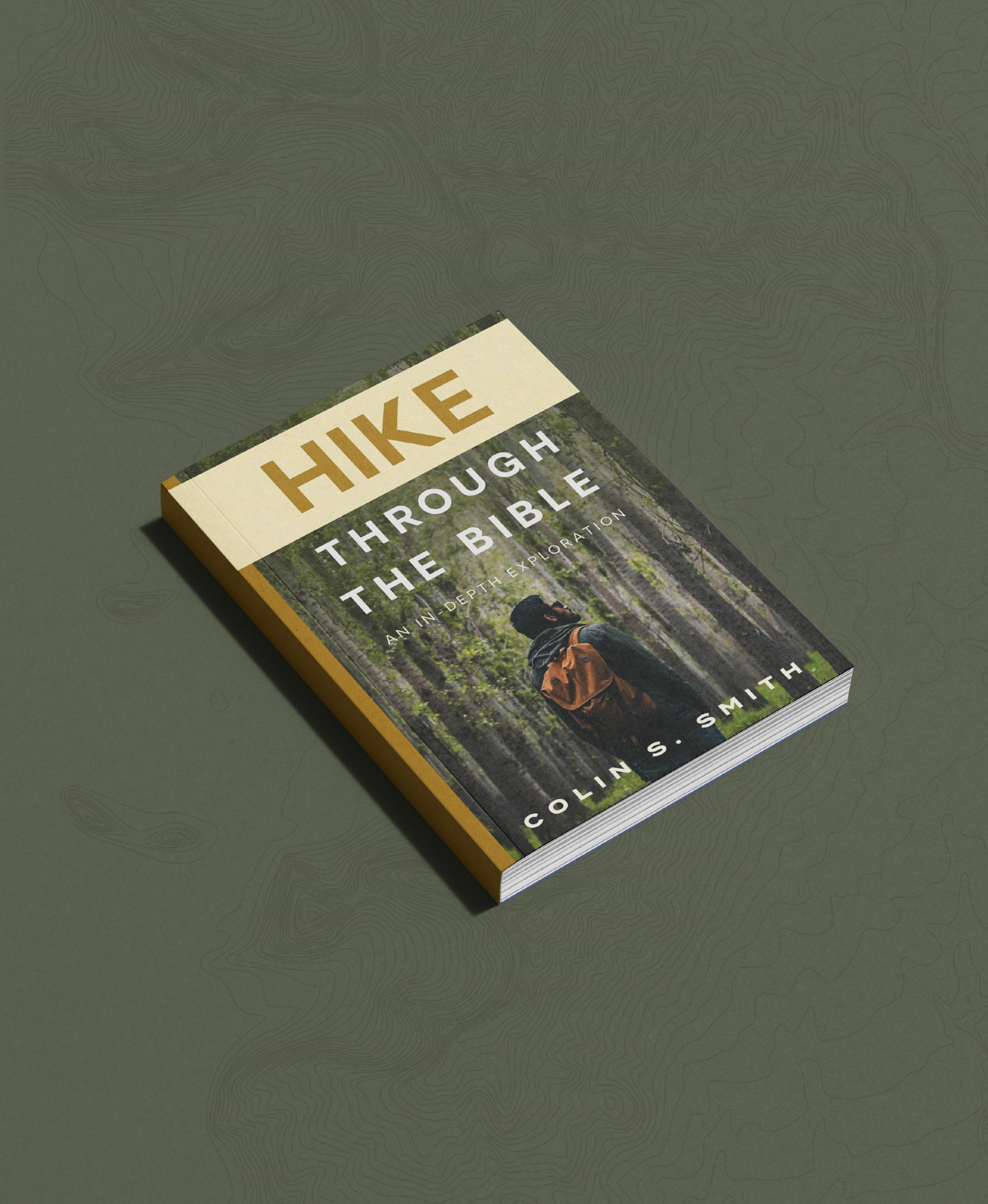 Bible in a Year Book