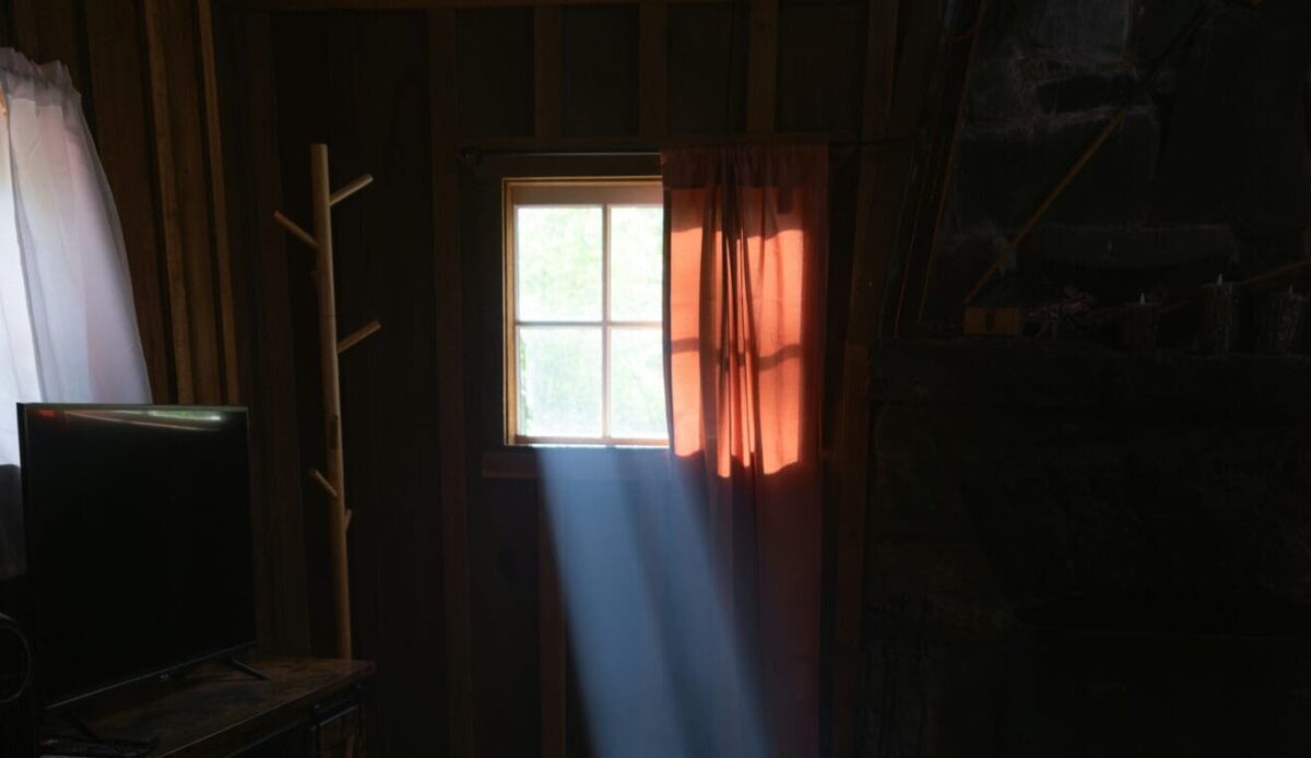 Shining Within Window Light