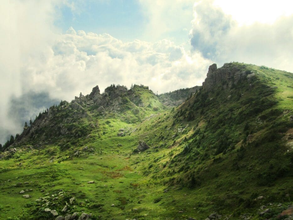 Mountain Green Landscape
