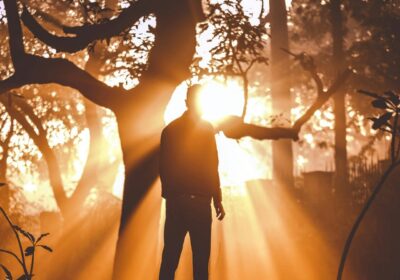 Light Shining Silhouette