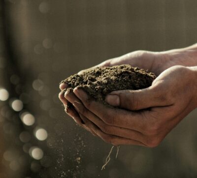 Dirt Hands Soil