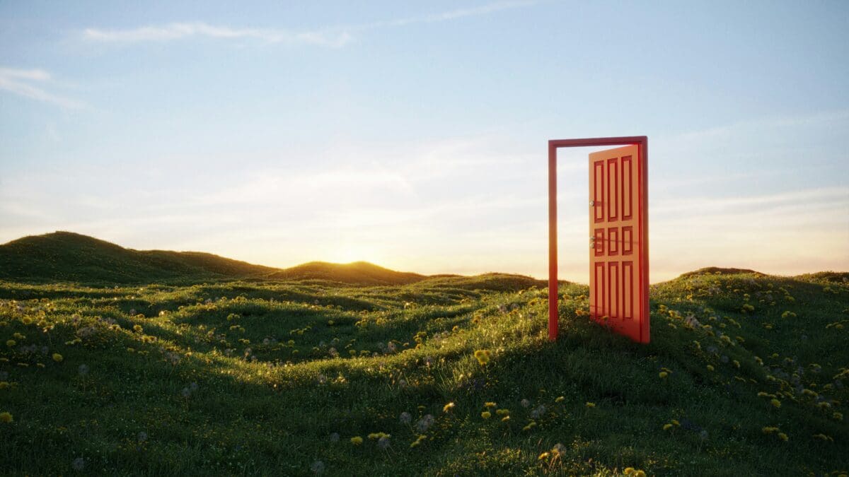 Open Door in a Field