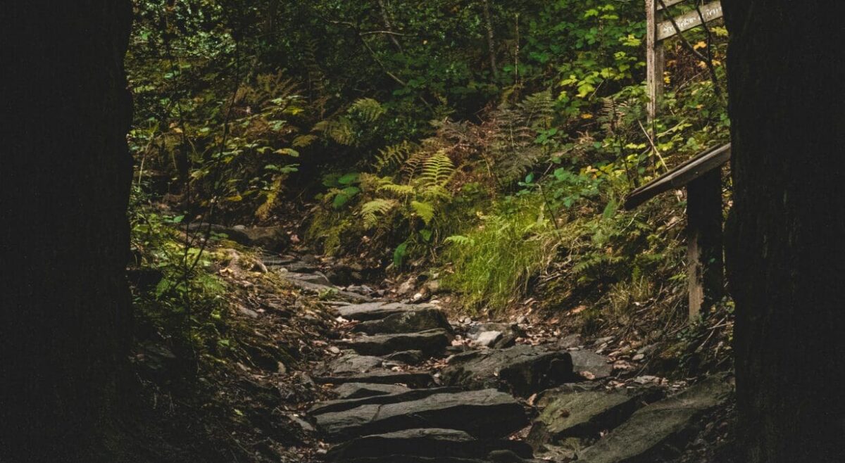 Hidden Path