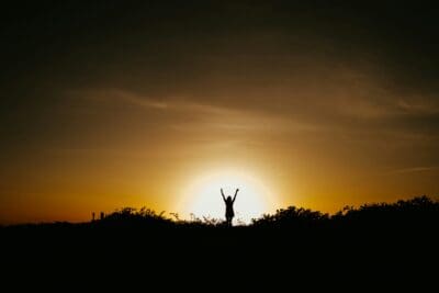Joyful Silhouette