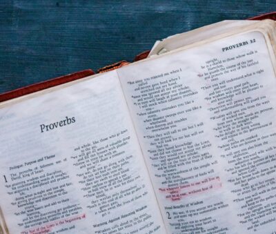 Proverbs Bible