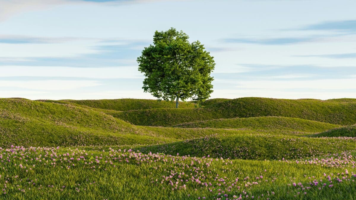 Tree of Life