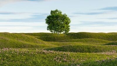 Tree of Life