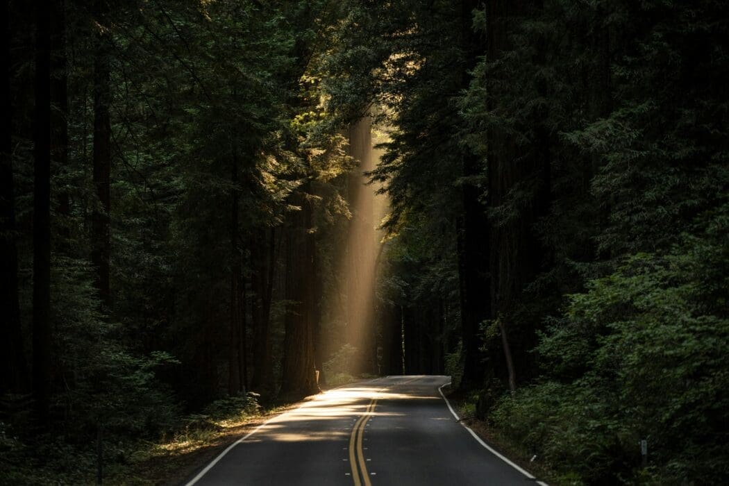 Light Shining