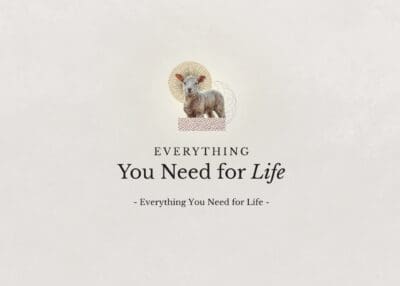 Everything You Need for Life