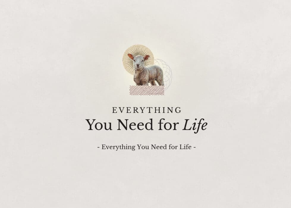 Everything You Need for Life