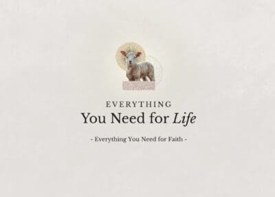 Everything You Need for Life
