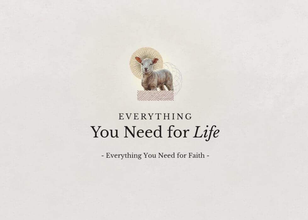 Everything You Need for Life