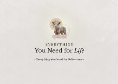 Everything You Need for Life