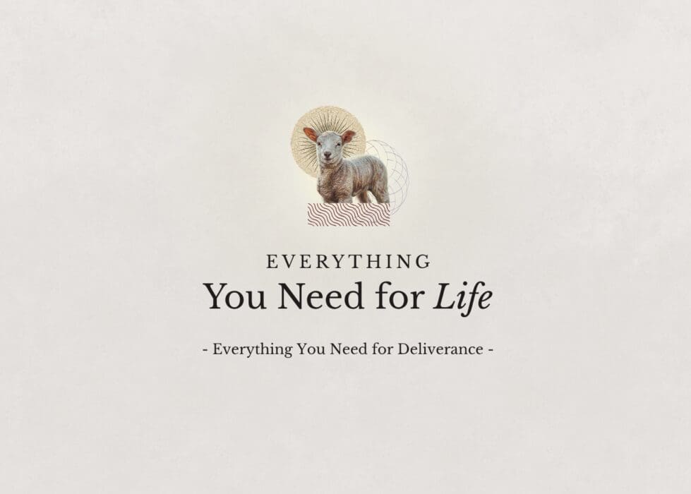 Everything You Need for Life
