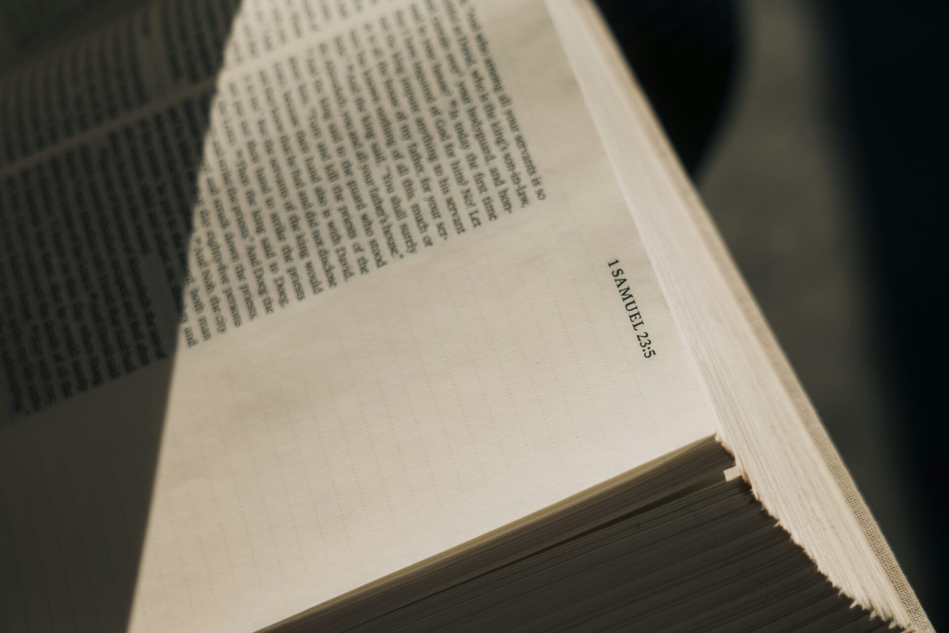 open Bible; reading; study; light