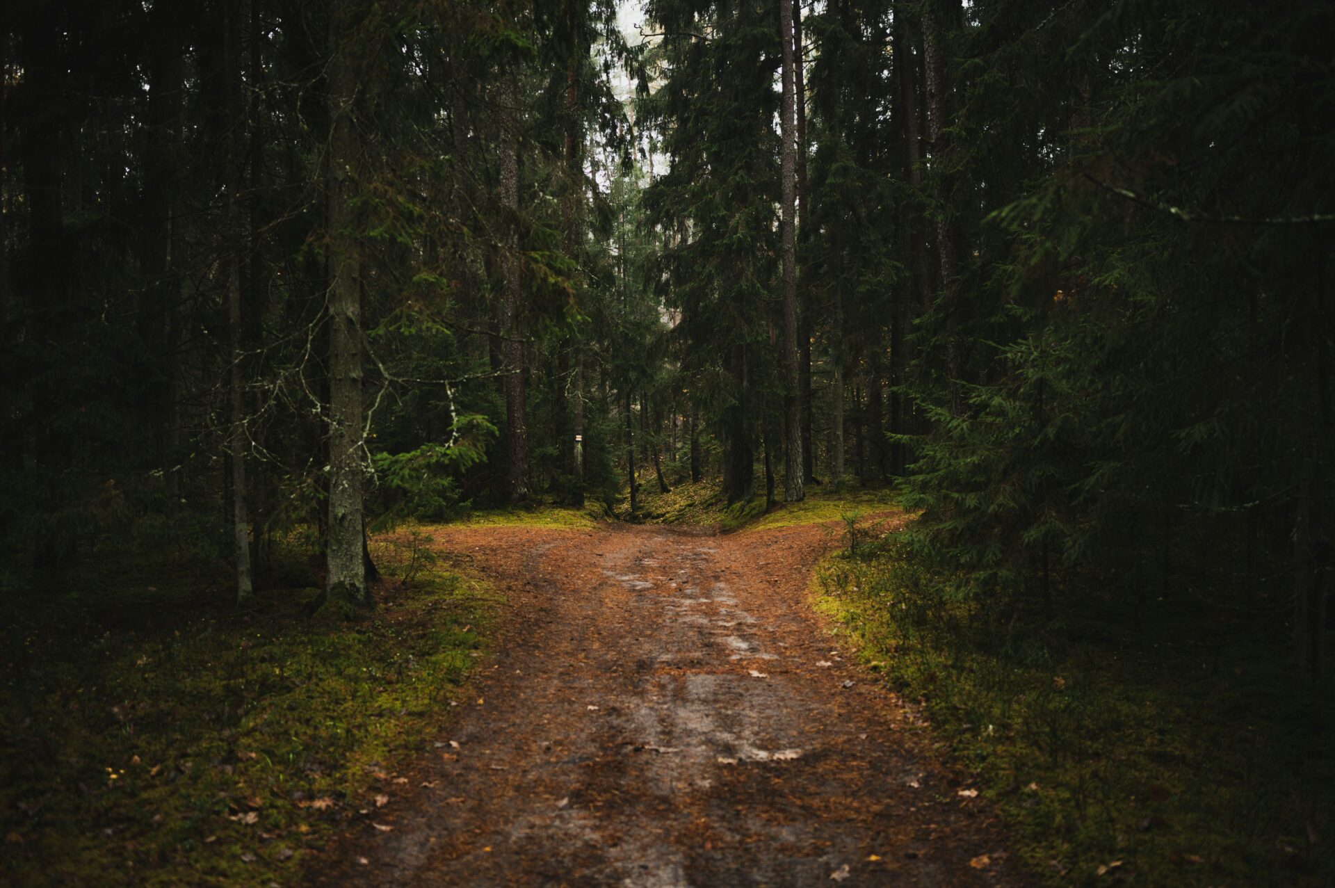 crossroads; path; choices; discernment