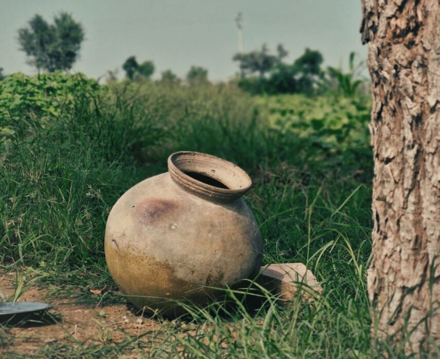 A weathered clay jar resting empty in tall grass, like the vessels borrowed to hold the oil