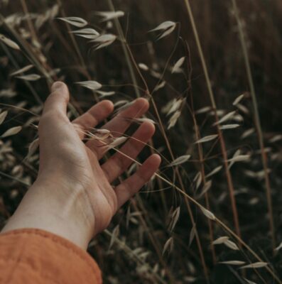 A hand reaching into golden wild grass in an open field, a picture of newfound freedom