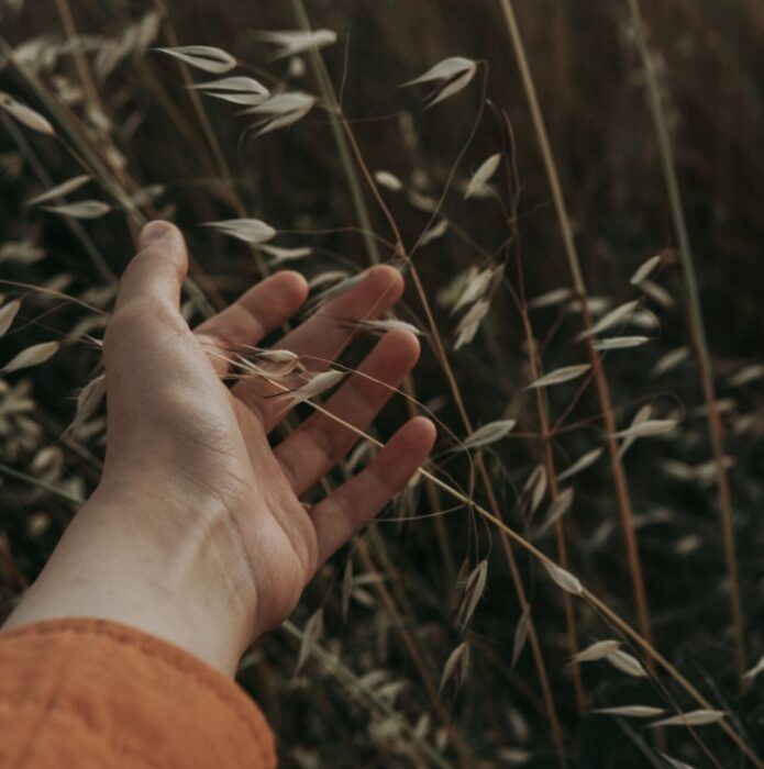 A hand reaching into golden wild grass in an open field, a picture of newfound freedom