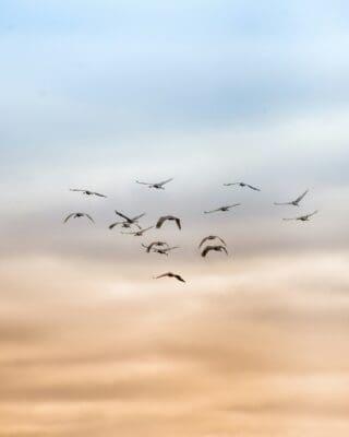 freedom; breaking chains; mountain summit; victory