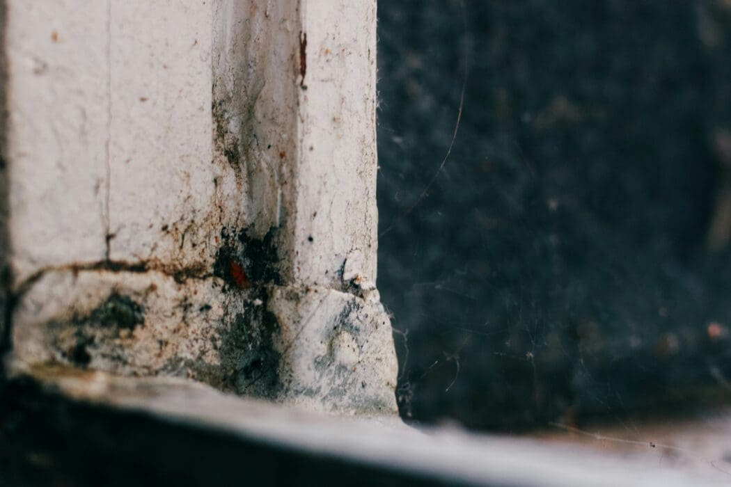 Black mold creeping across a weathered white window frame, exactly like the sermon's mold illustration.